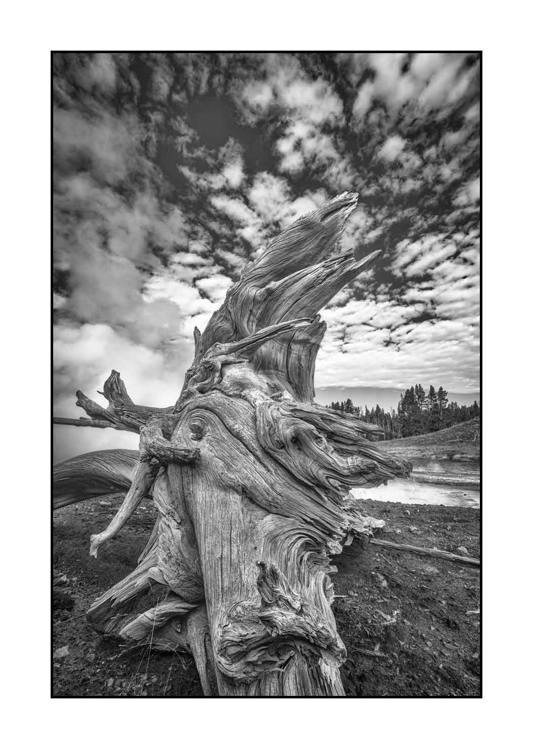 nuances-de-noirs-et-de-blancs/060-merveilles-yellowstone-en-noir-et-blanc/fr/18-le-yellowstone-en-noir-et-blanc-1880-32B