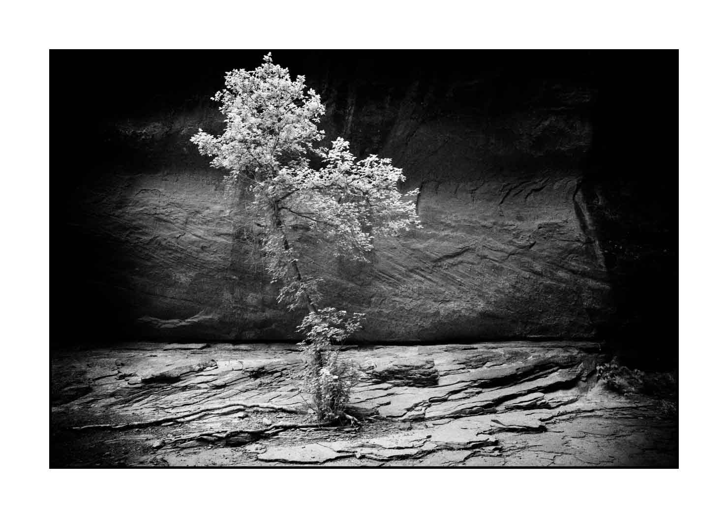 nuances-de-noirs-et-de-blancs/066-merveilles-naturelles-de-castle-valley/fr/08-paysage-castle-valley-noir-et-blanc-190507UTACAV0106B