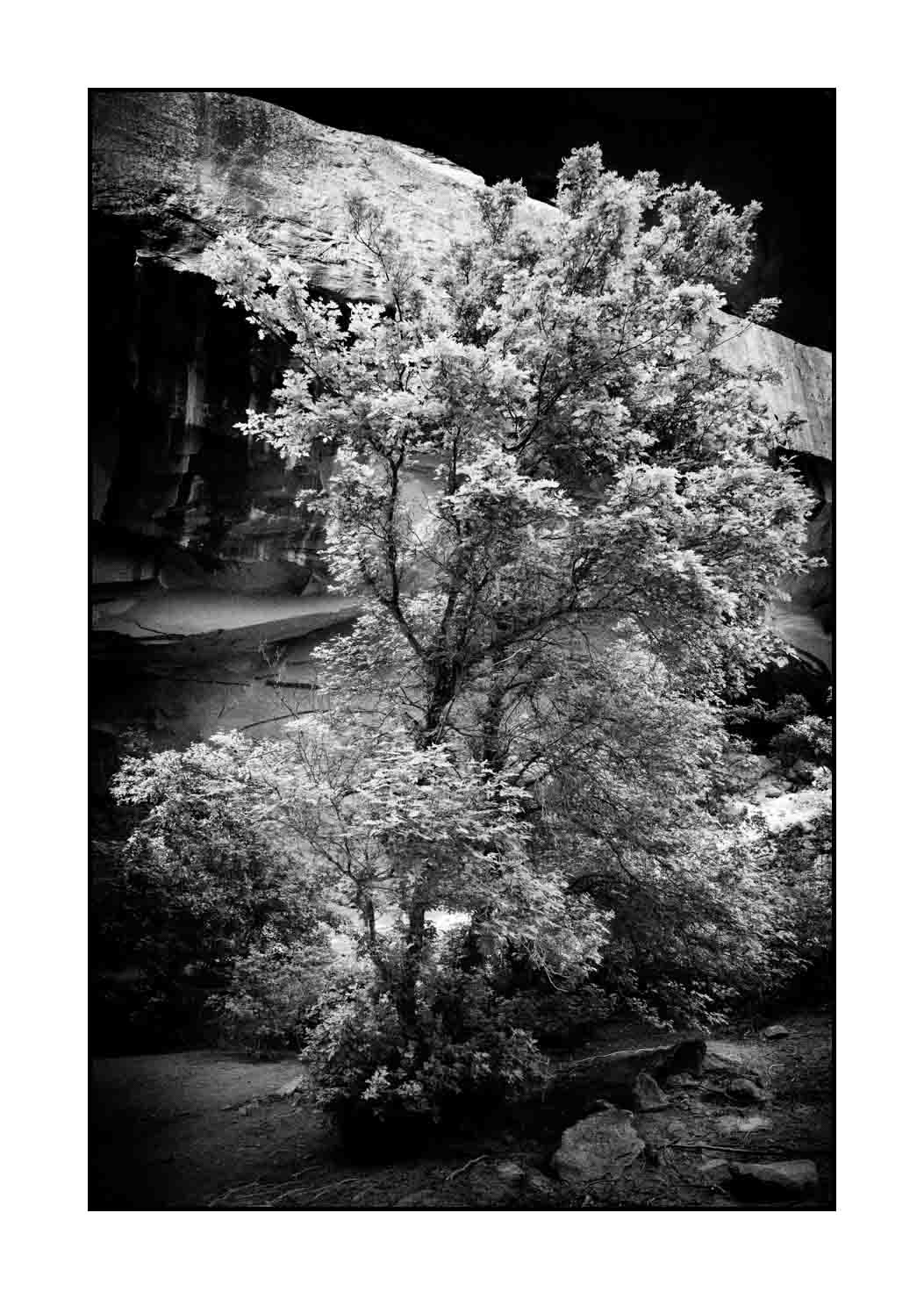 nuances-de-noirs-et-de-blancs/066-merveilles-naturelles-de-castle-valley/fr/09-paysage-castle-valley-noir-et-blanc-190507UTACAV0085B