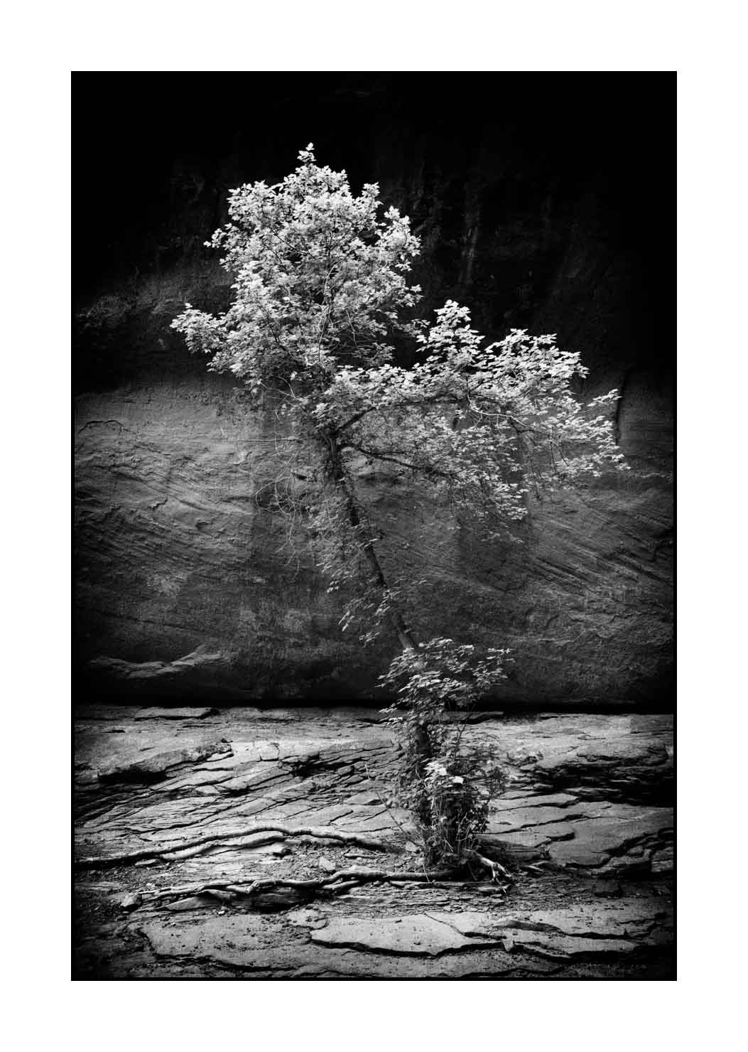 nuances-de-noirs-et-de-blancs/066-merveilles-naturelles-de-castle-valley/fr/10-paysage-castle-valley-noir-et-blanc-190507UTACAV0092B
