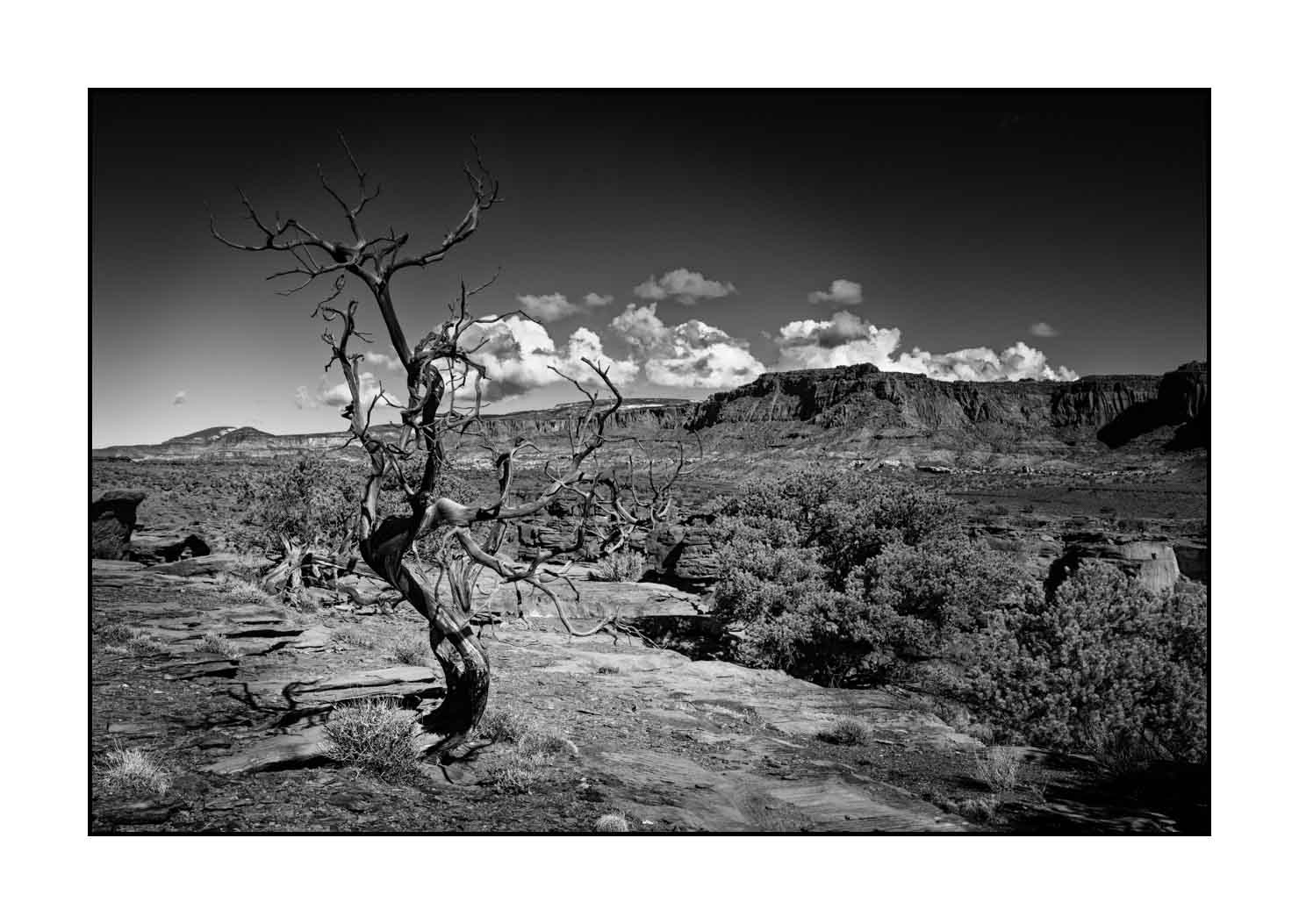 nuances-de-noirs-et-de-blancs/067-merveilles-naturelles-de-capitol-reef/en/14-landscape-capitol-reef-black-and-white-190508CAPLAN0104B