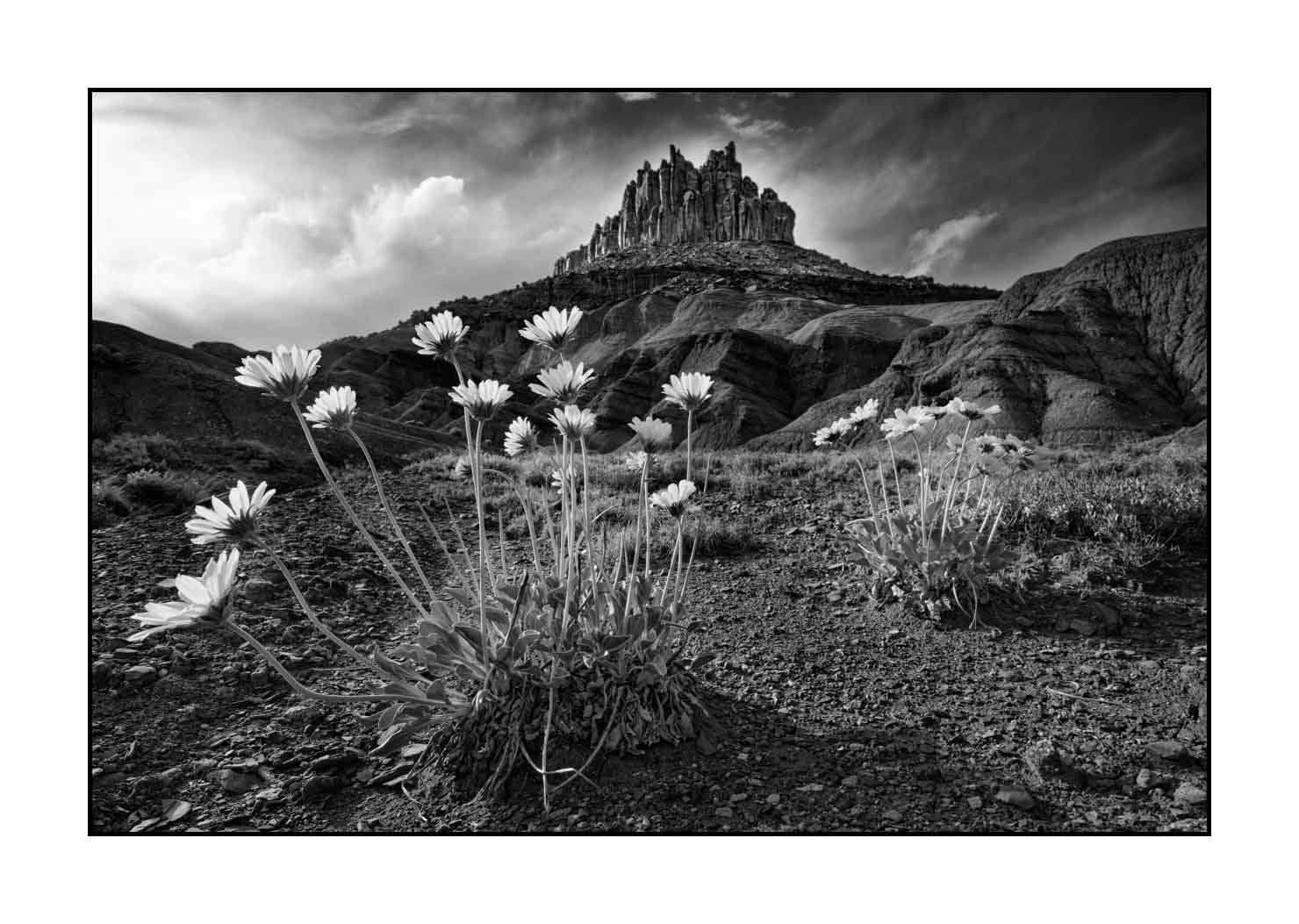 nuances-de-noirs-et-de-blancs/067-merveilles-naturelles-de-capitol-reef/fr/04-paysage-capitol-reef-noir-et-blanc-190508CAPLAN0025B