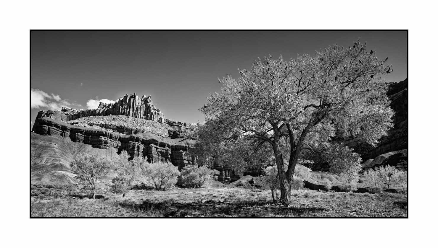 nuances-de-noirs-et-de-blancs/067-merveilles-naturelles-de-capitol-reef/fr/12-paysage-capitol-reef-noir-et-blanc-190508CAPLAN0027B