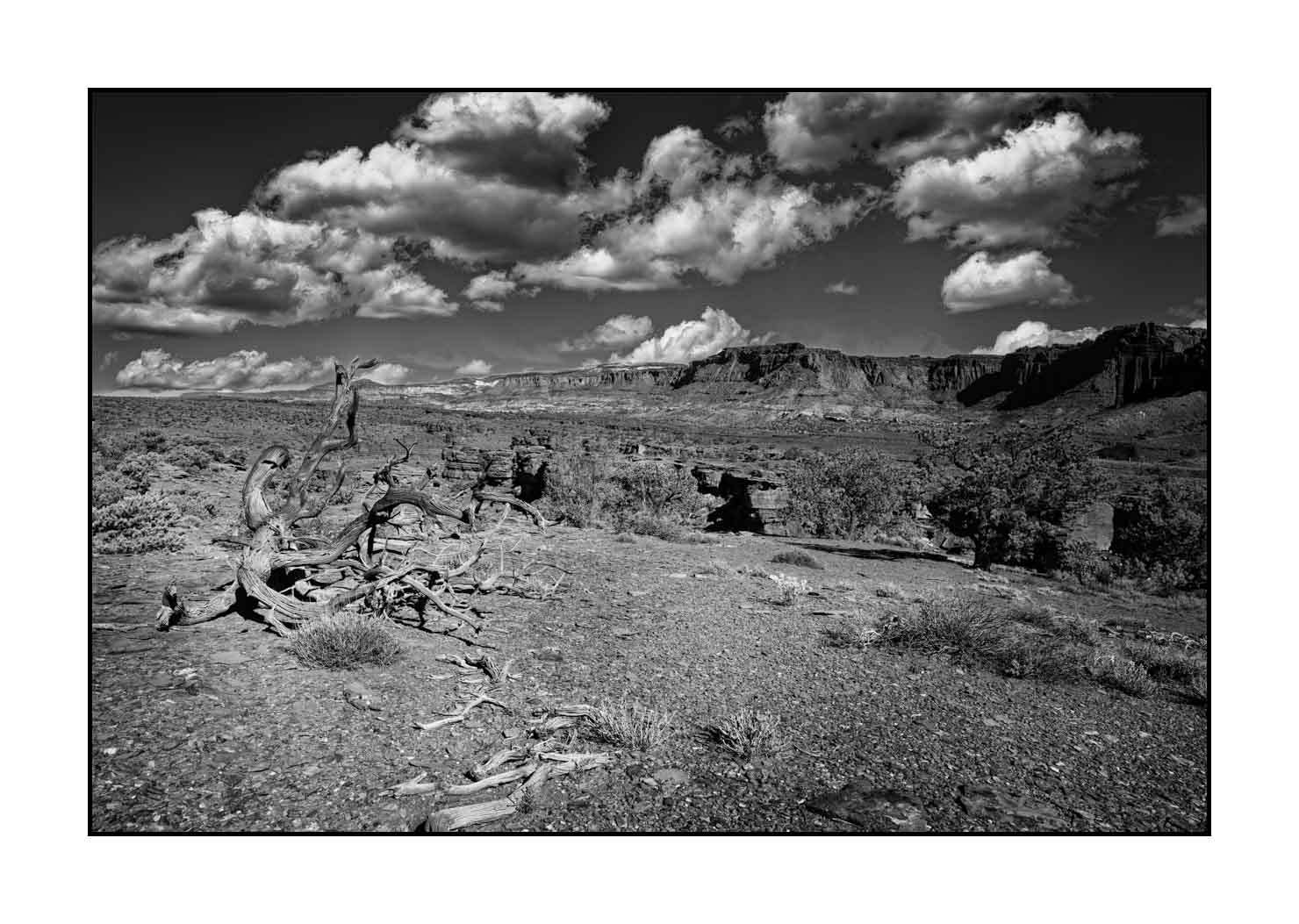 nuances-de-noirs-et-de-blancs/067-merveilles-naturelles-de-capitol-reef/fr/13-paysage-capitol-reef-noir-et-blanc-190508CAPLAN0099B