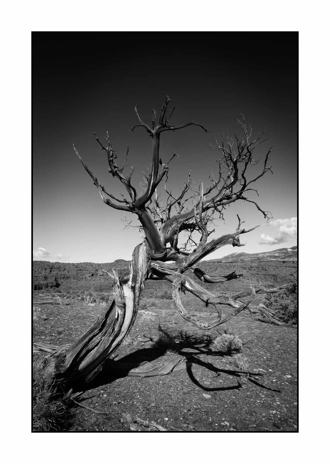 nuances-de-noirs-et-de-blancs/067-merveilles-naturelles-de-capitol-reef/fr/15-paysage-capitol-reef-noir-et-blanc-190508CAPLAN0110B