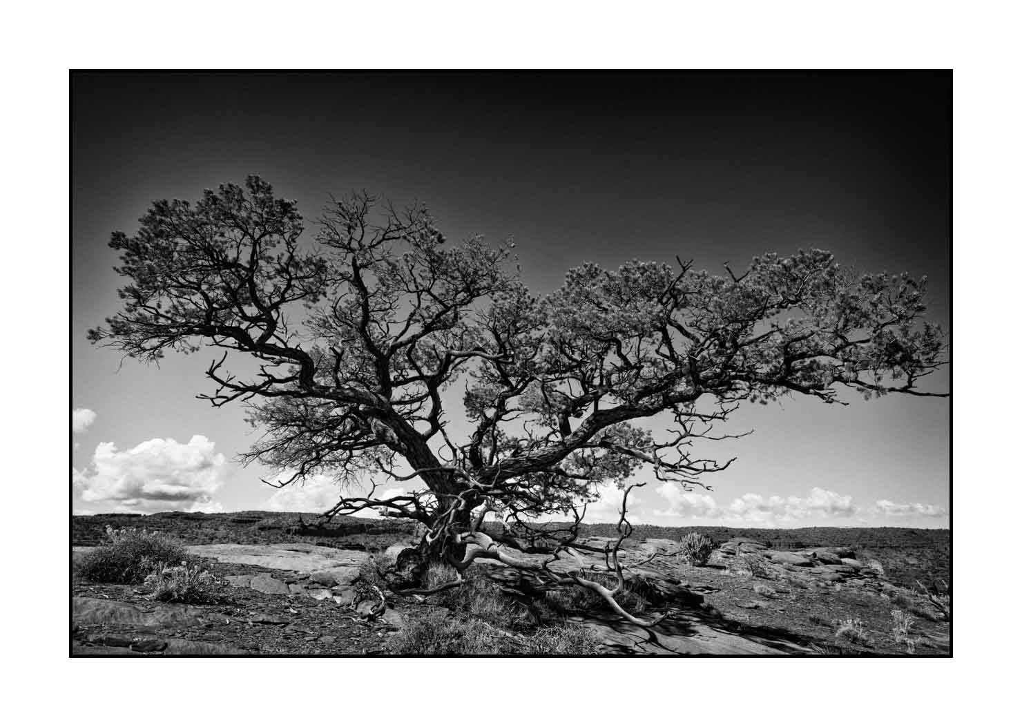 nuances-de-noirs-et-de-blancs/067-merveilles-naturelles-de-capitol-reef/fr/16-paysage-capitol-reef-noir-et-blanc-190508CAPLAN0114B