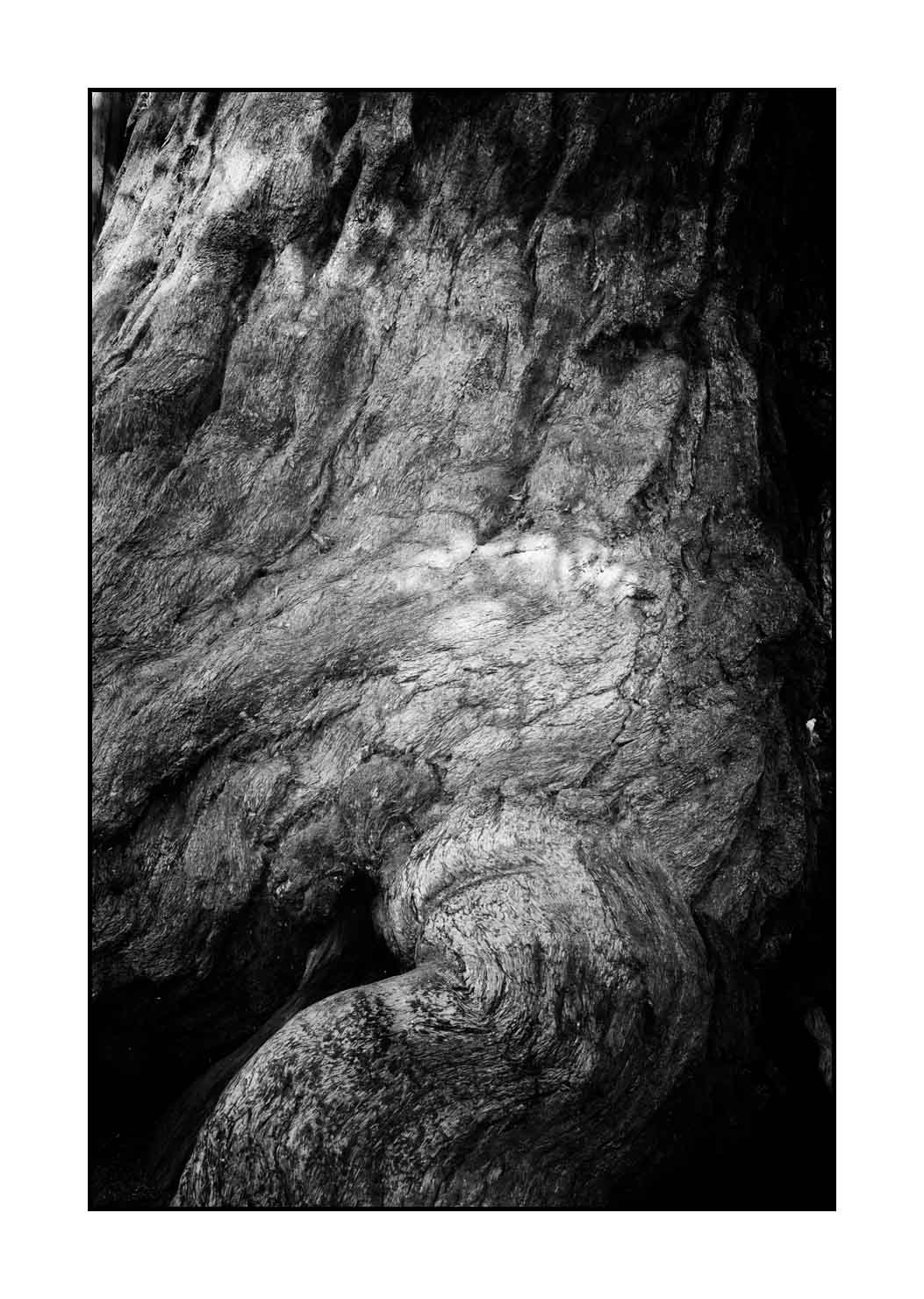 nuances-de-noirs-et-de-blancs/068-merveilles-de-sequoia/fr/17-paysage-parc-national-sequoia-noir-et-blanc-190824SEQLAN0051B