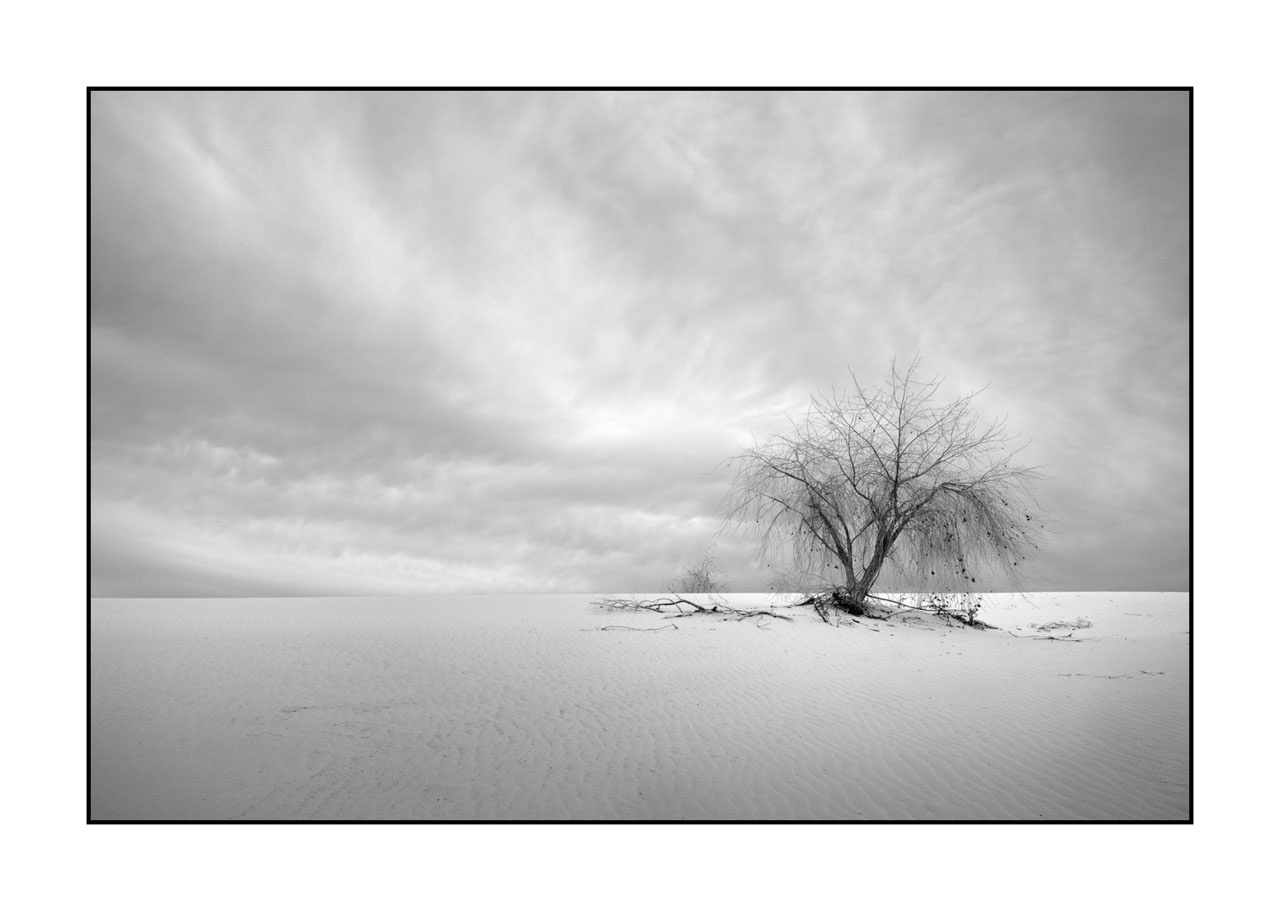 nuances-de-noirs-et-de-blancs/075-merveilles-white-sand-dunes/fr/22-white-sand-dunes-en-noir-et-blanc-221227WSDLAN0057B