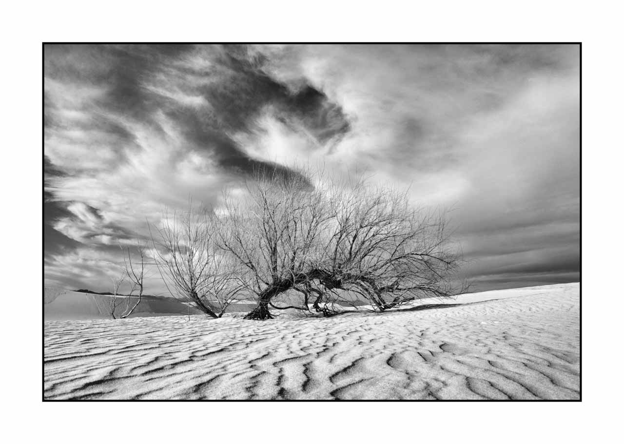 nuances-de-noirs-et-de-blancs/075-merveilles-white-sand-dunes/fr/26-white-sand-dunes-en-noir-et-blanc-221227WSDLAN1333B