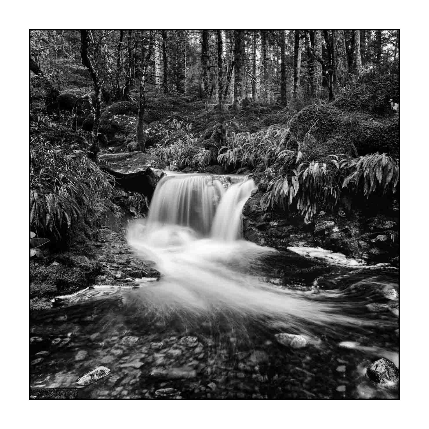 nuances-de-noirs-et-de-blancs/079-merveilles-mid-highlands-ecosse/fr/21-paysage-mid-highlands-en-ecosse-1590-11B