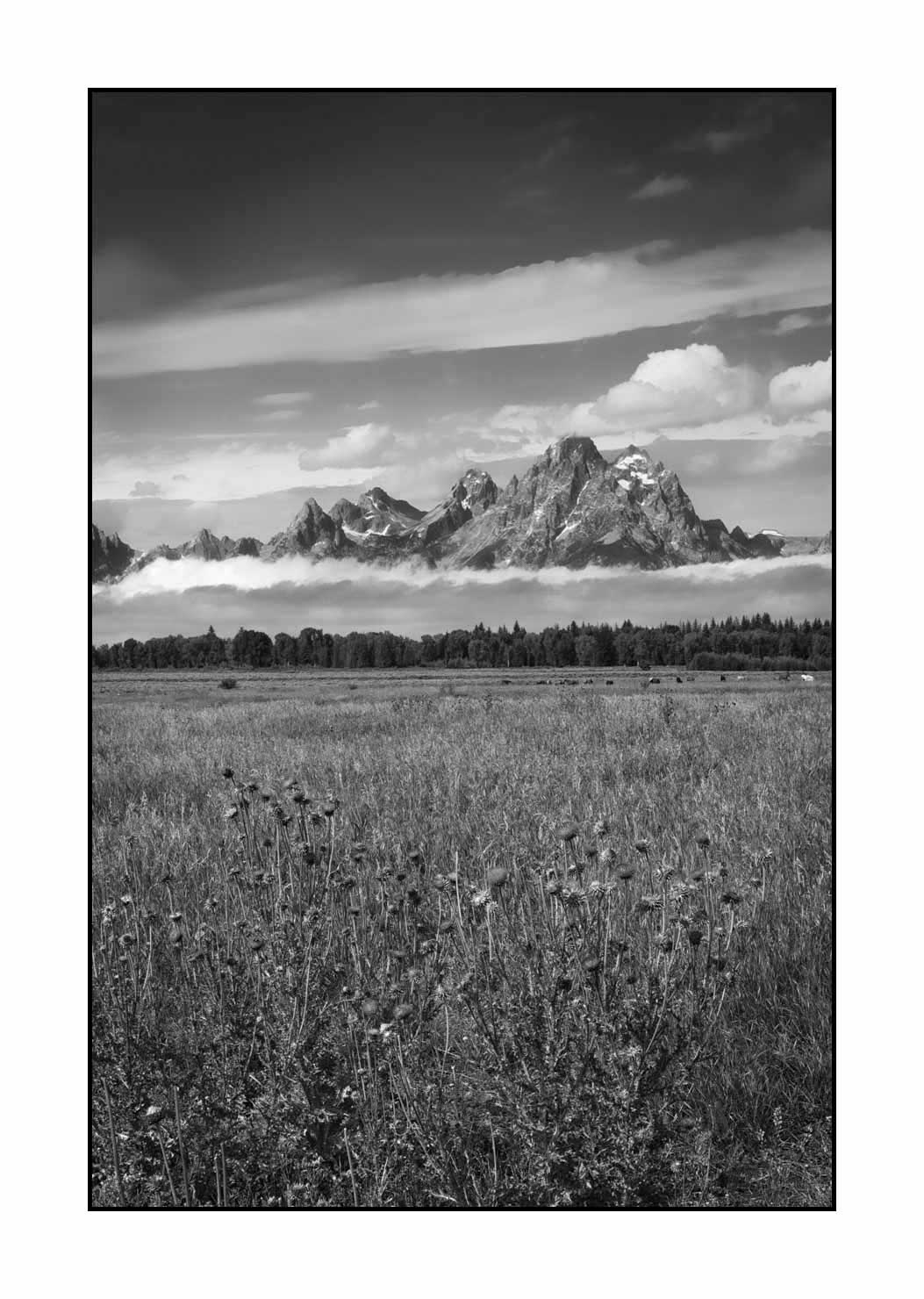 nuances-de-noirs-et-de-blancs/080-grand-teton/fr/03-grand-teton-au-wyoming-1772-32B