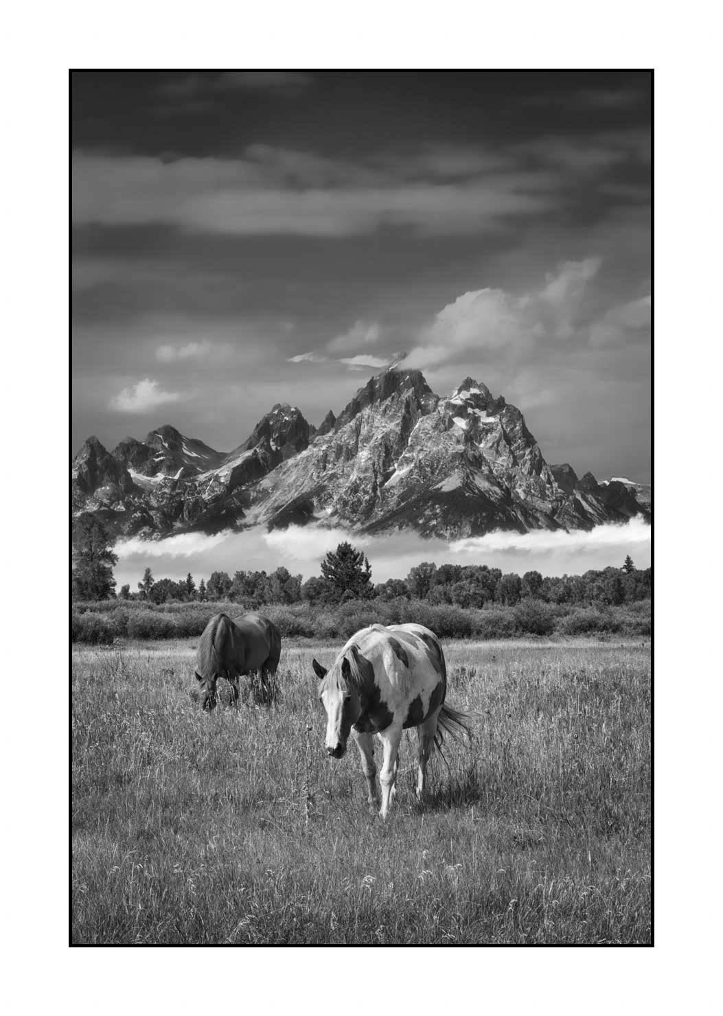 nuances-de-noirs-et-de-blancs/080-grand-teton/fr/10-grand-teton-au-wyoming-1779-32B