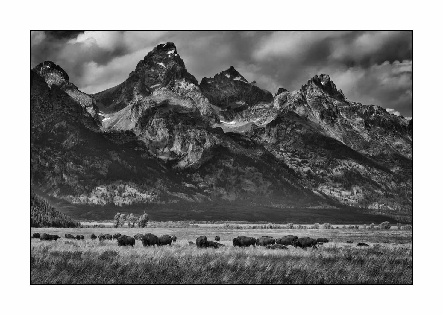 nuances-de-noirs-et-de-blancs/080-grand-teton/fr/12-grand-teton-au-wyoming-1781-32B