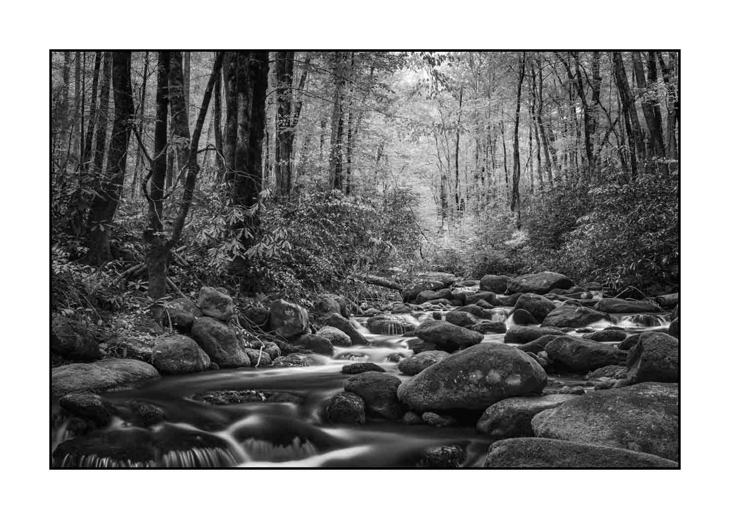 nuances-de-noirs-et-de-blancs/081-smoky-mountains/en/04-landscape-smoky-mountains-black-and-white-1806-32B