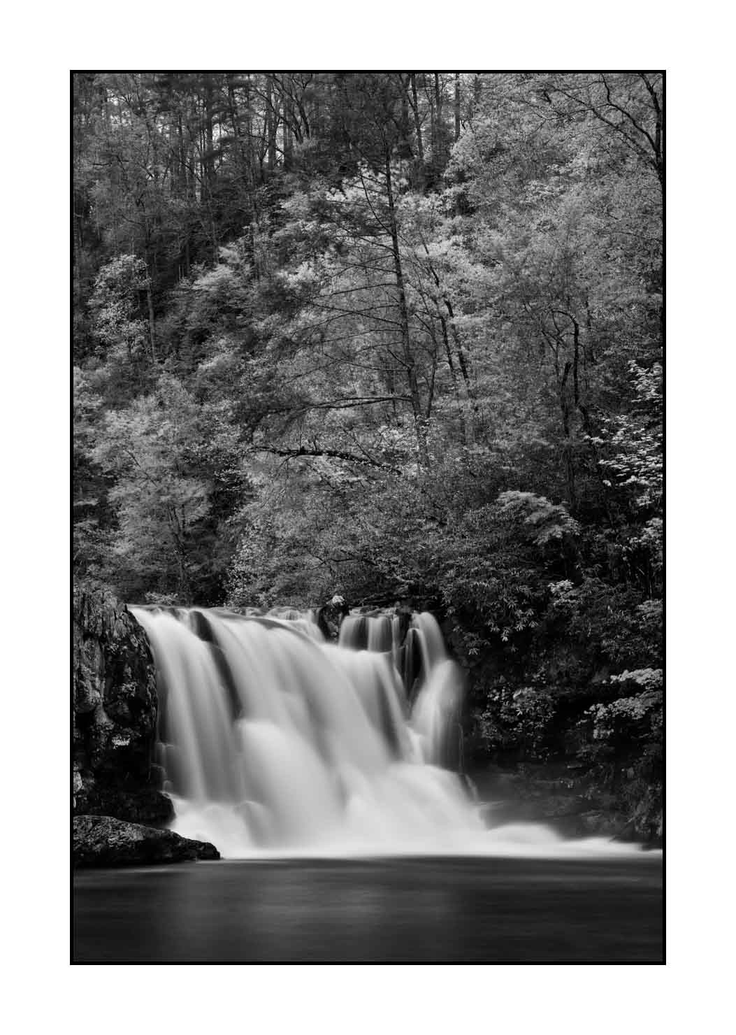nuances-de-noirs-et-de-blancs/081-smoky-mountains/en/15-landscape-smoky-mountains-black-and-white-1817-32B