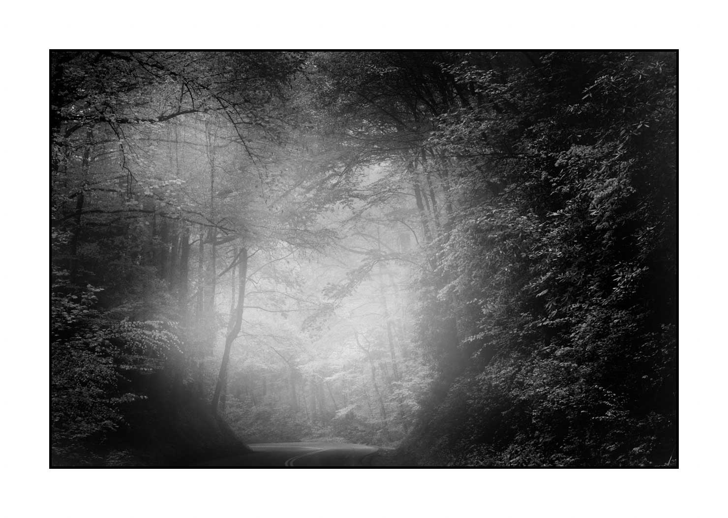 nuances-de-noirs-et-de-blancs/081-smoky-mountains/fr/01-paysage-smoky-mountains-noir-et-blanc-1803-32B