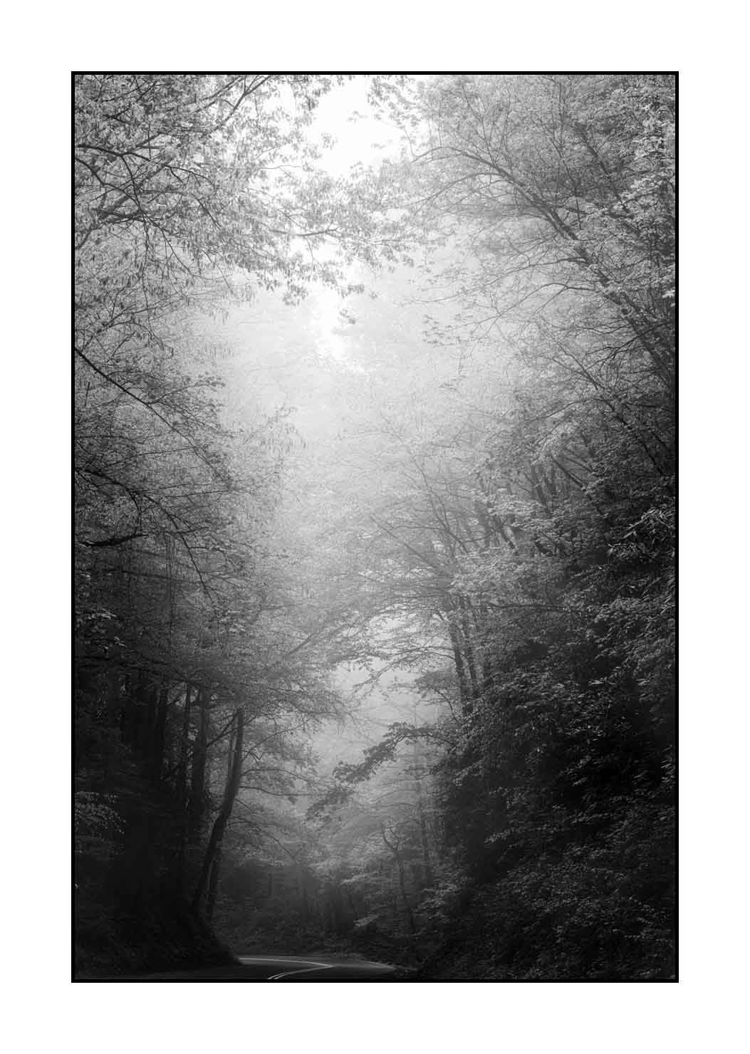 nuances-de-noirs-et-de-blancs/081-smoky-mountains/fr/02-paysage-smoky-mountains-noir-et-blanc-1804-32B
