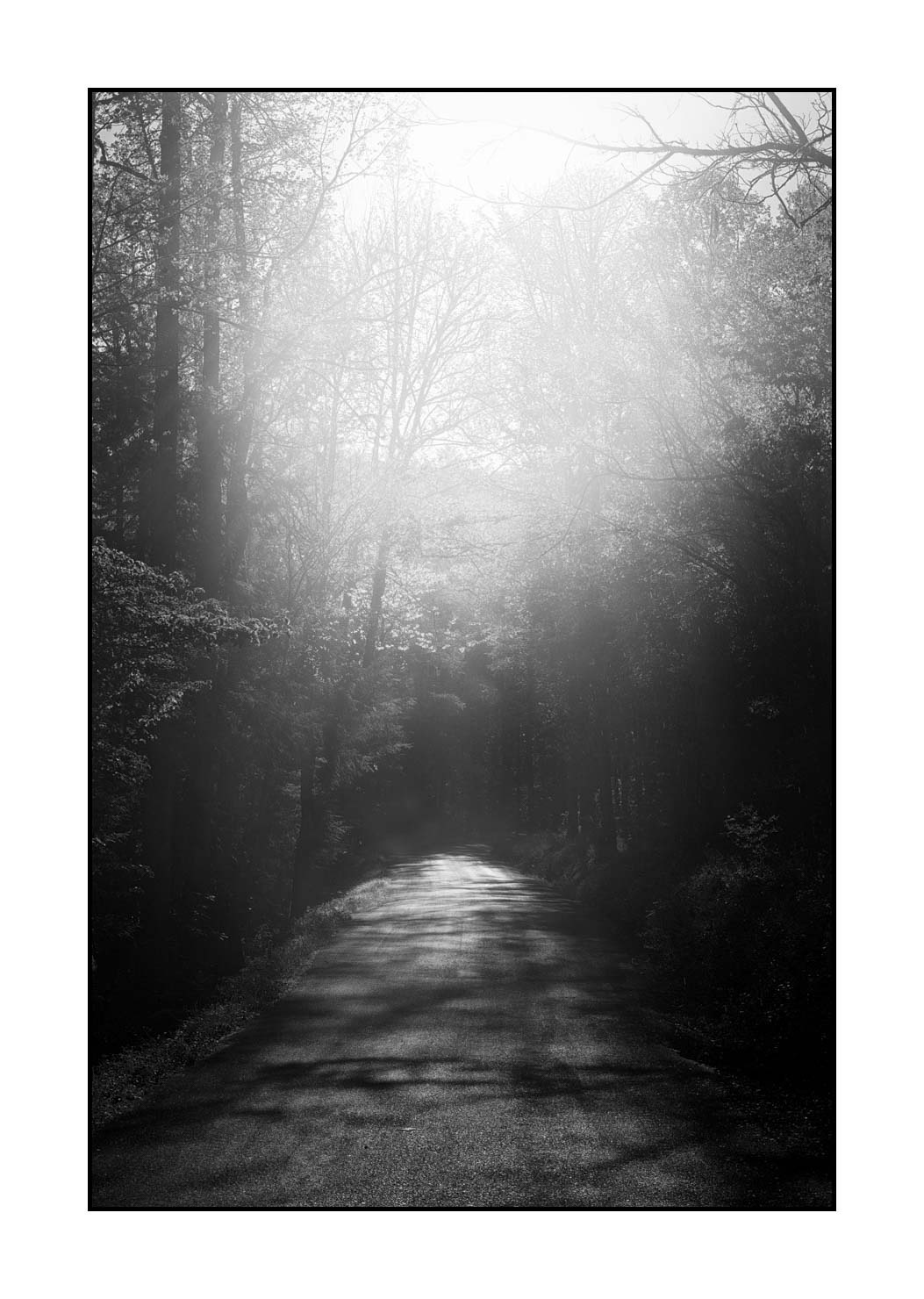 nuances-de-noirs-et-de-blancs/081-smoky-mountains/fr/03-paysage-smoky-mountains-noir-et-blanc-1805-32B
