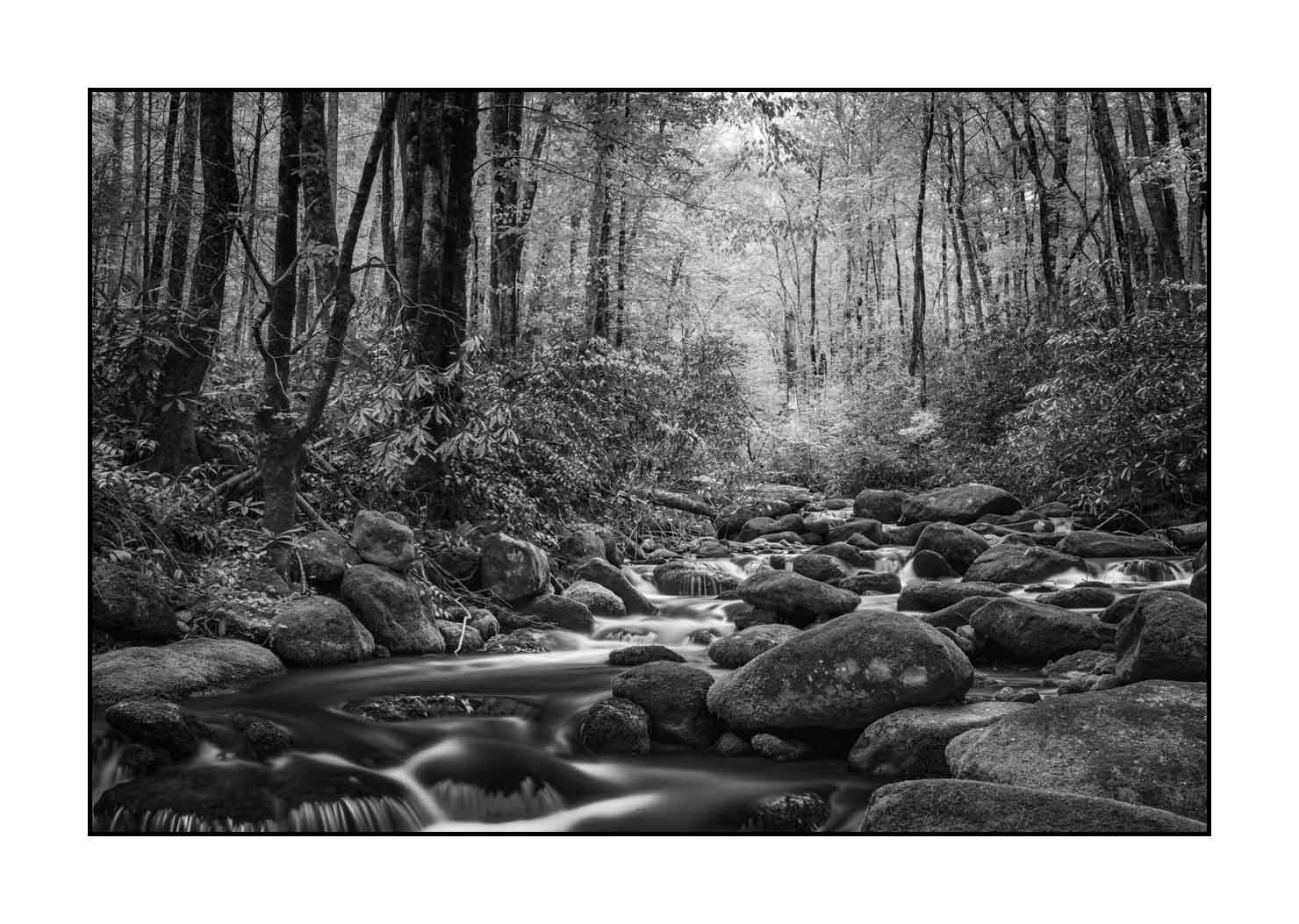 nuances-de-noirs-et-de-blancs/081-smoky-mountains/fr/04-paysage-smoky-mountains-noir-et-blanc-1806-32B
