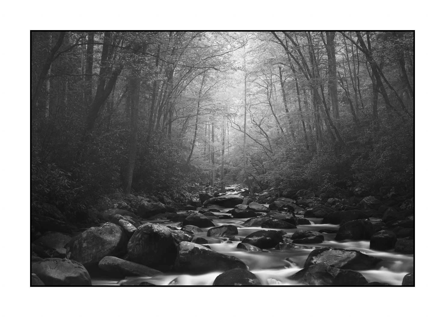 nuances-de-noirs-et-de-blancs/081-smoky-mountains/fr/05-paysage-smoky-mountains-noir-et-blanc-1807-32B