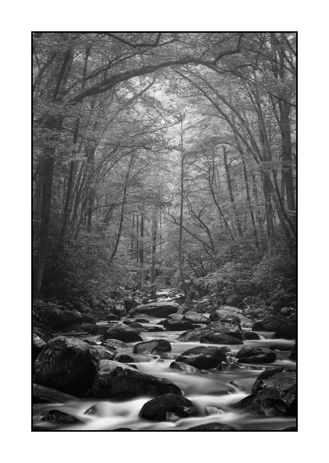 nuances-de-noirs-et-de-blancs/081-smoky-mountains/fr/06-paysage-smoky-mountains-noir-et-blanc-1808-32B