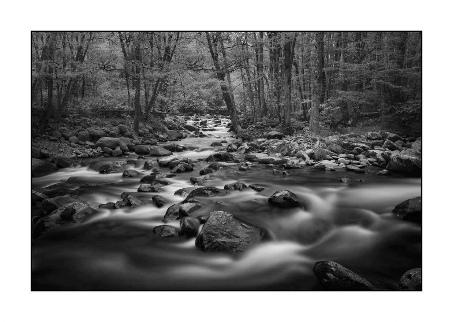 nuances-de-noirs-et-de-blancs/081-smoky-mountains/fr/07-paysage-smoky-mountains-noir-et-blanc-1809-32B