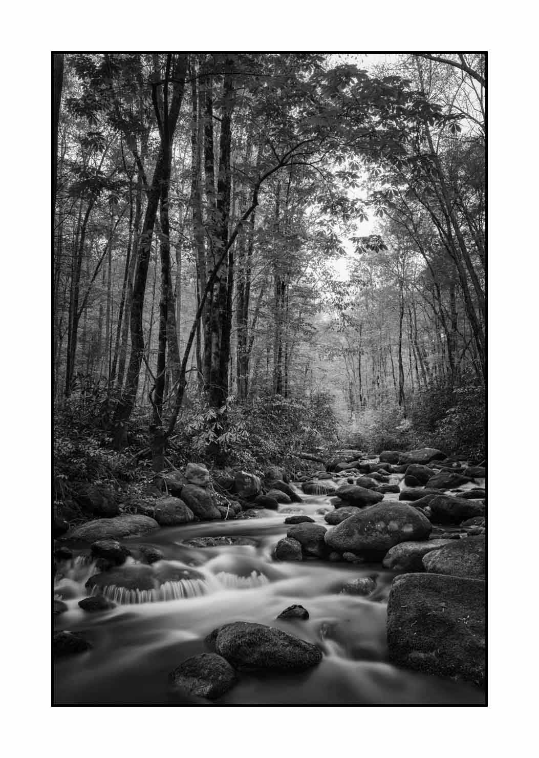 nuances-de-noirs-et-de-blancs/081-smoky-mountains/fr/08-paysage-smoky-mountains-noir-et-blanc-1810-32B