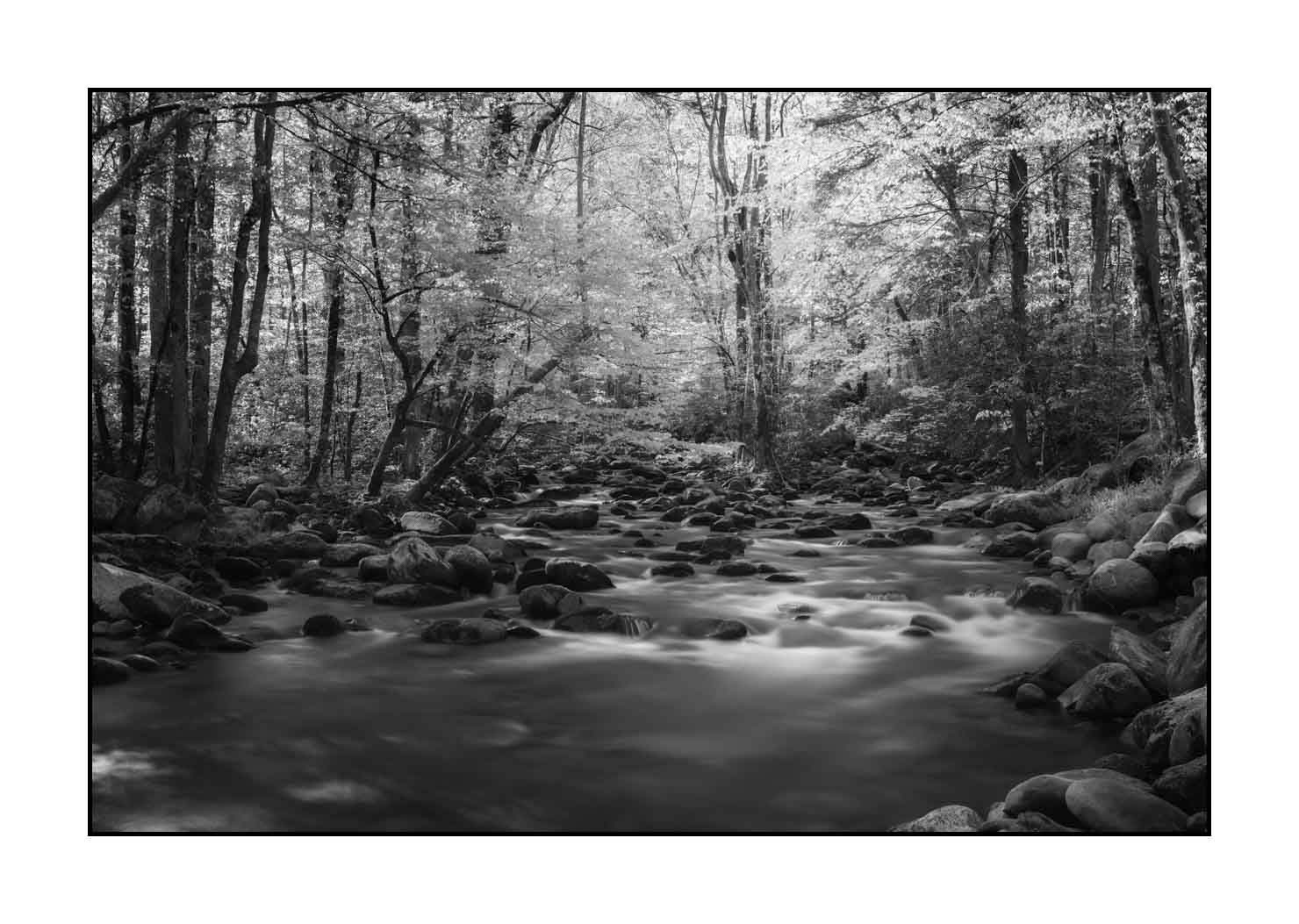 nuances-de-noirs-et-de-blancs/081-smoky-mountains/fr/09-paysage-smoky-mountains-noir-et-blanc-1811-32B