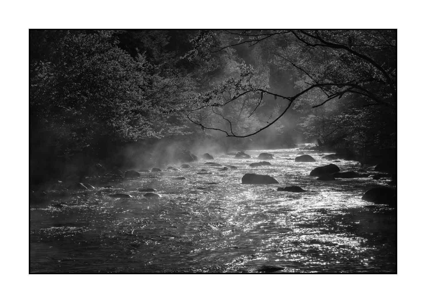 nuances-de-noirs-et-de-blancs/081-smoky-mountains/fr/10-paysage-smoky-mountains-noir-et-blanc-1812-32B