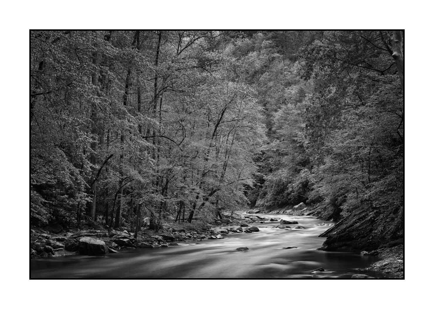 nuances-de-noirs-et-de-blancs/081-smoky-mountains/fr/11-paysage-smoky-mountains-noir-et-blanc-1813-32B