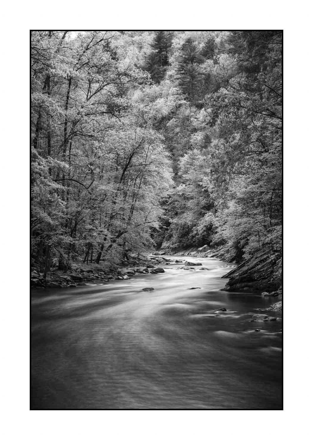 nuances-de-noirs-et-de-blancs/081-smoky-mountains/fr/12-paysage-smoky-mountains-noir-et-blanc-1814-32B