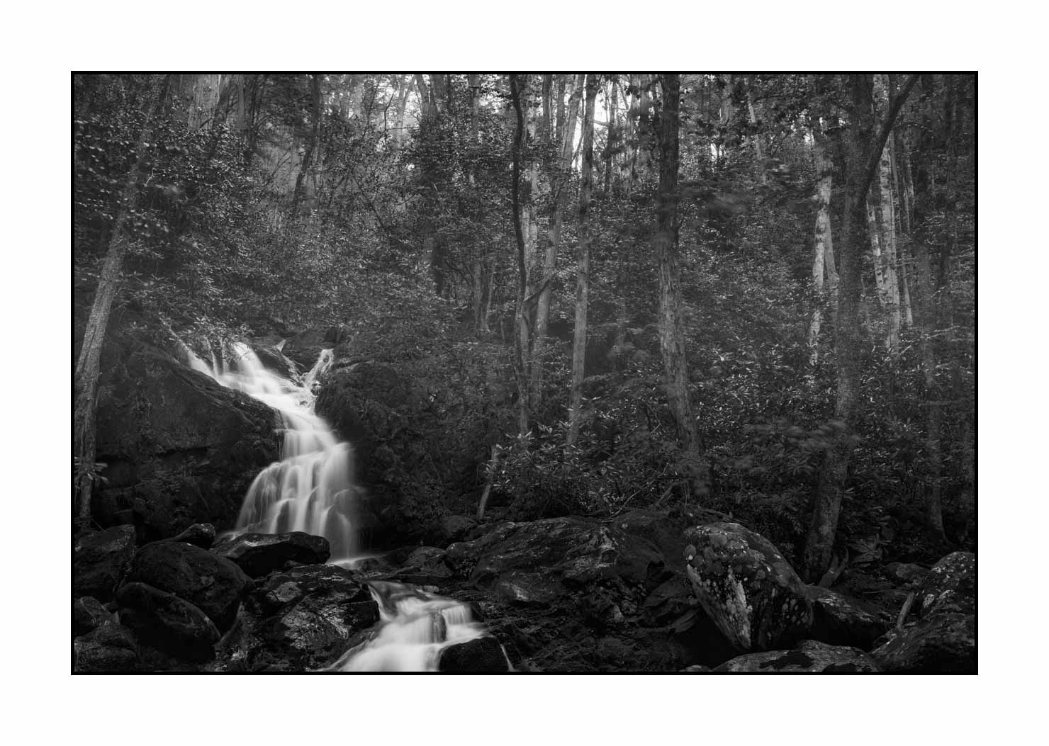 nuances-de-noirs-et-de-blancs/081-smoky-mountains/fr/23-paysage-smoky-mountains-noir-et-blanc-1825-32B