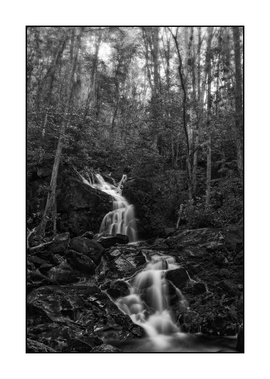 nuances-de-noirs-et-de-blancs/081-smoky-mountains/fr/24-paysage-smoky-mountains-noir-et-blanc-1826-32B