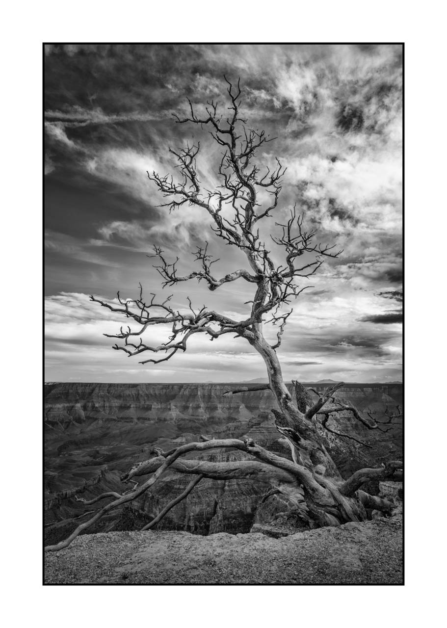 nuances-de-noirs-et-de-blancs/082-l-ame-intemporelle-grand-canyon-nord/fr/04-paysage-grand-canyon-nord-noir-et-blanc-2042-32B