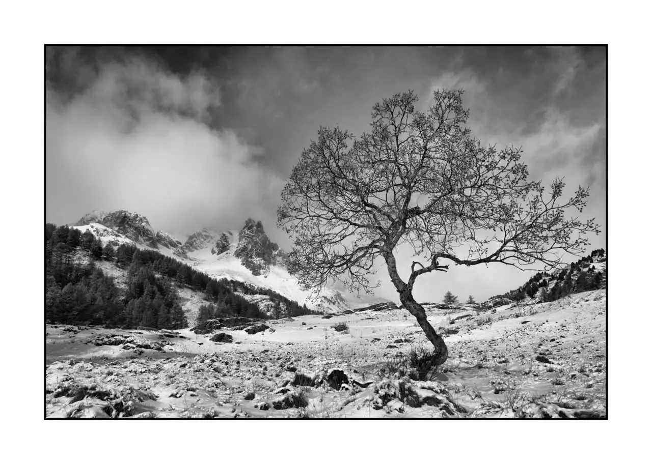 nuances-de-noirs-et-de-blancs/083-paysages-noir-et-blanc-vallee-de-la-claree/en/17-landscape-valley-la-claree-alps-black-and-white-2283-32B