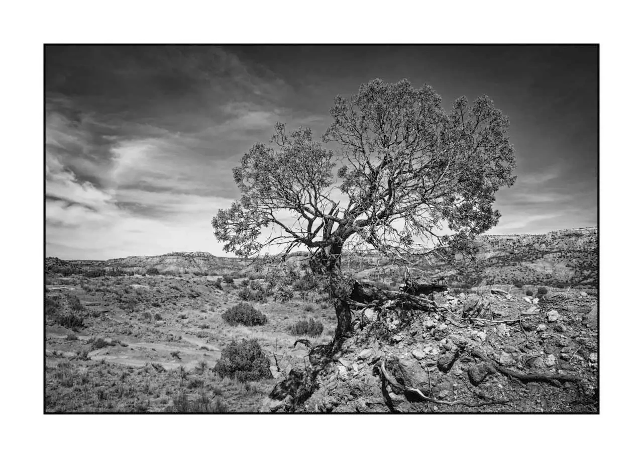 nuances-de-noirs-et-de-blancs/087-paysages-palo-duro/editions-limitees/fr/07-paysage-palo-duro-bw-2170-32B