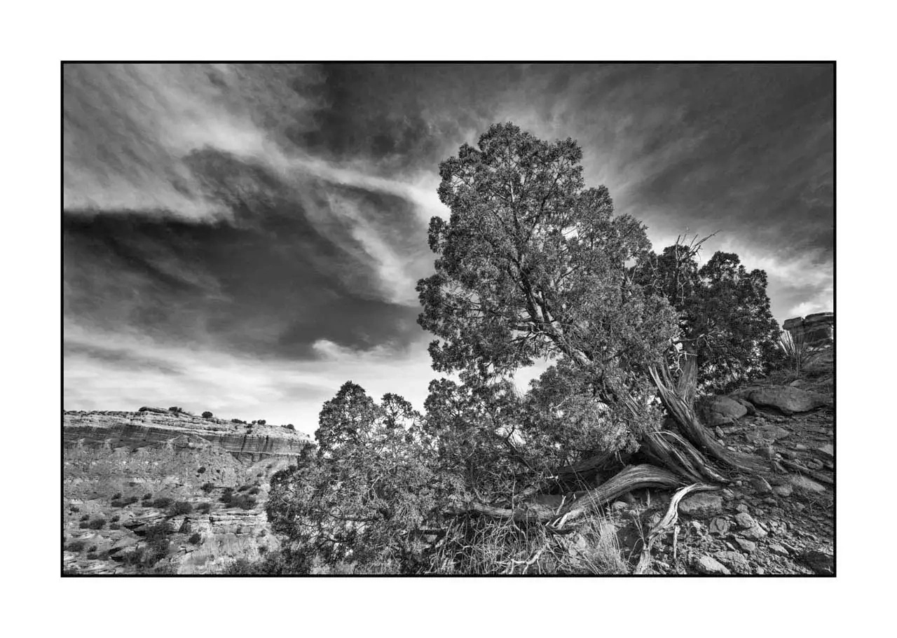 nuances-de-noirs-et-de-blancs/087-paysages-palo-duro/editions-limitees/fr/08-paysage-palo-duro-bw-2171-32B