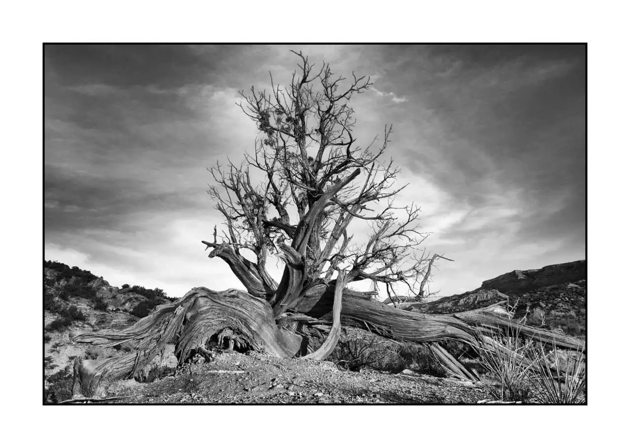 nuances-de-noirs-et-de-blancs/087-paysages-palo-duro/editions-uniques/2169/fr/01-paysage-palo-duro-2169-32C