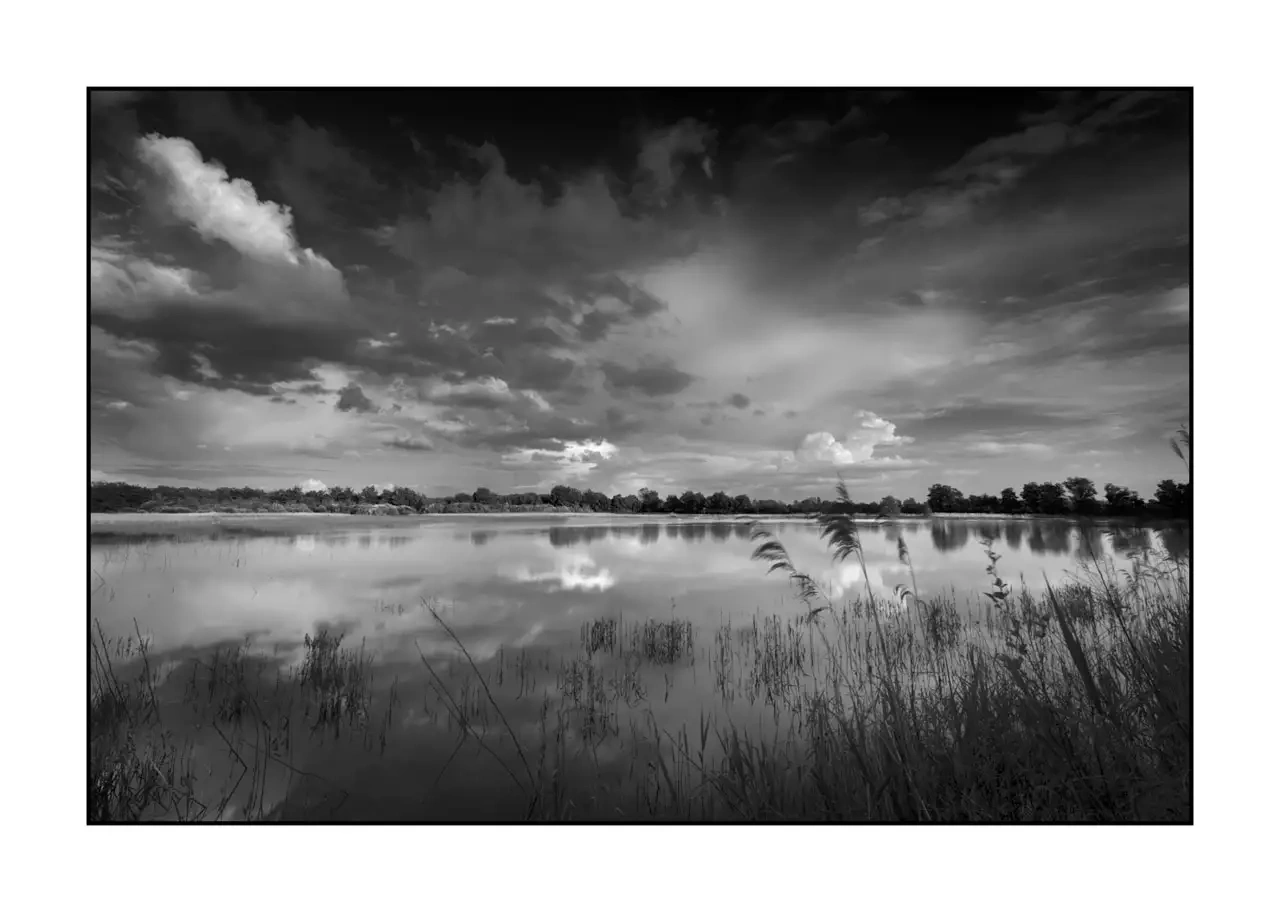 nuances-de-noirs-et-de-blancs/088-le-souffle-des-etangs-oublies-de-la-dombes/en/02-landscape-pond-dombes-2185-32B