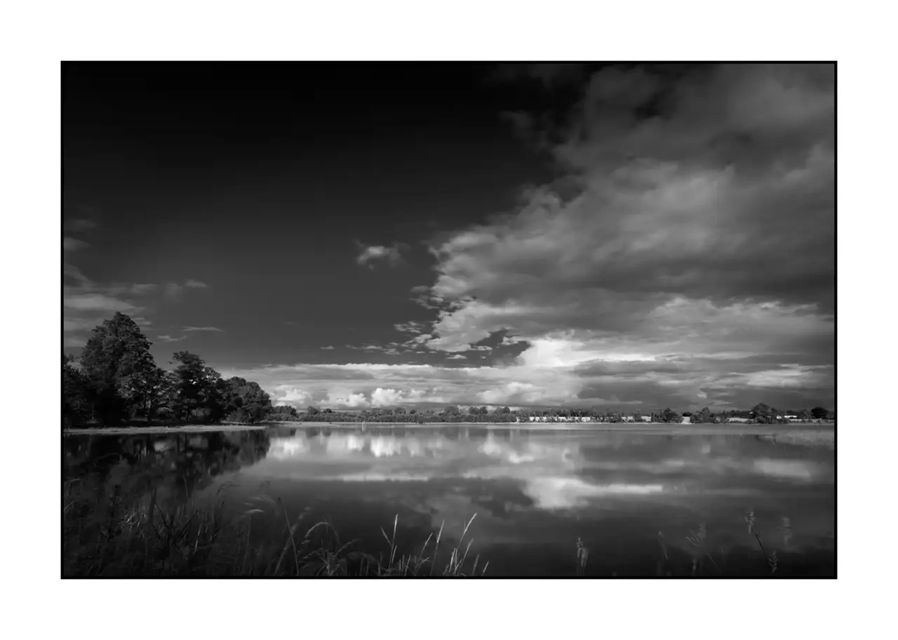 nuances-de-noirs-et-de-blancs/088-le-souffle-des-etangs-oublies-de-la-dombes/en/05-landscape-pond-dombes-2188-32B