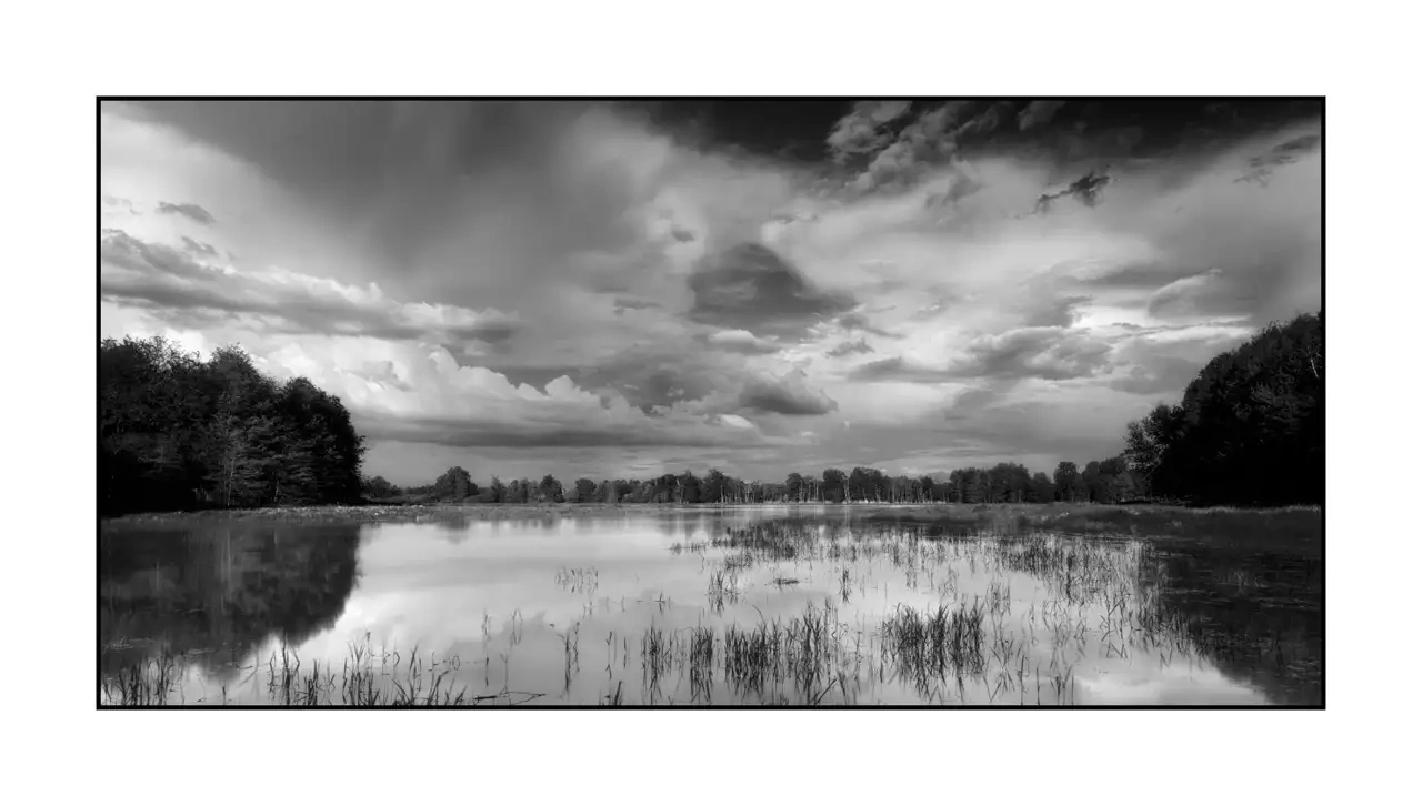 nuances-de-noirs-et-de-blancs/088-le-souffle-des-etangs-oublies-de-la-dombes/en/07-landscape-pond-dombes-2190-21B