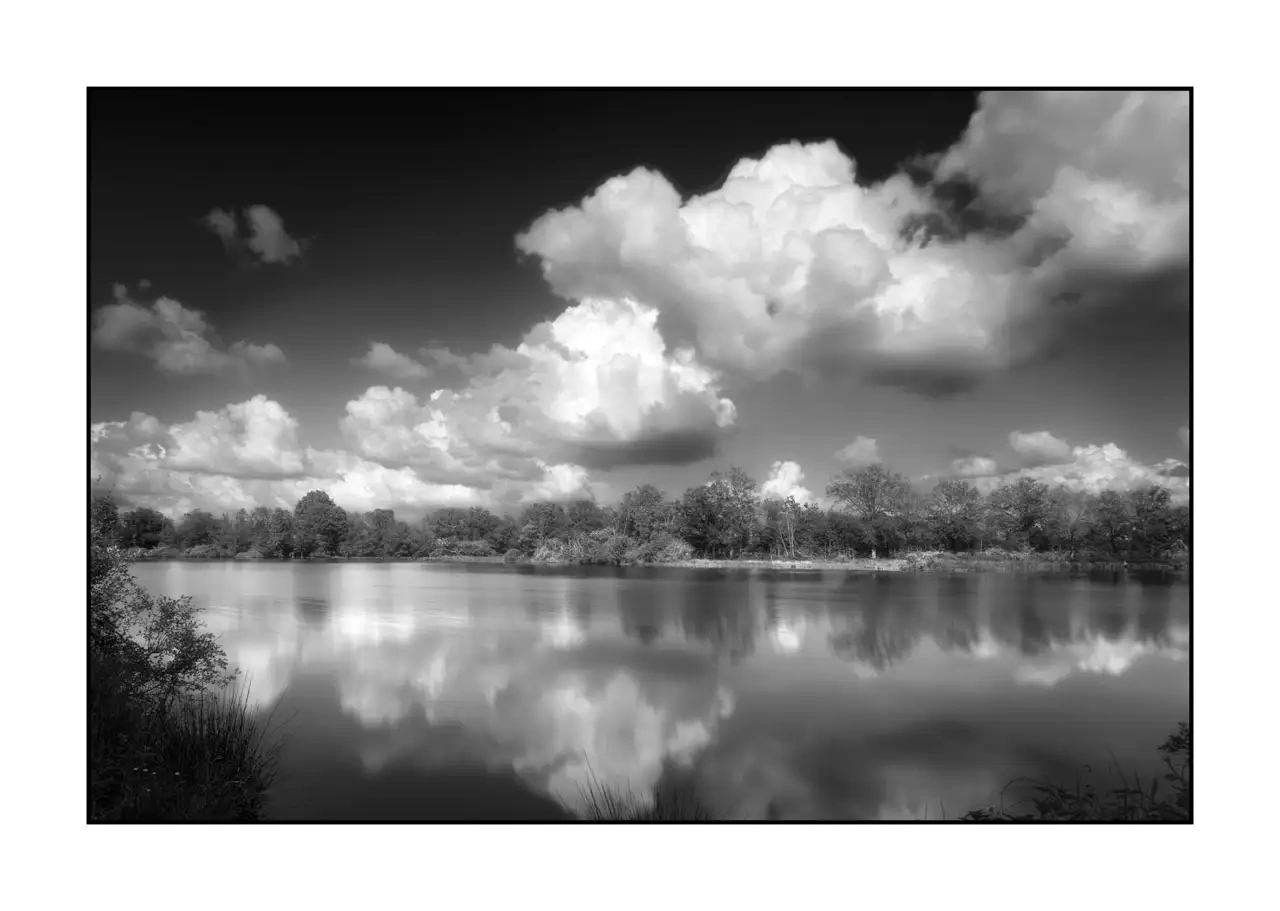 nuances-de-noirs-et-de-blancs/088-le-souffle-des-etangs-oublies-de-la-dombes/en/09-landscape-pond-dombes-2192-32B