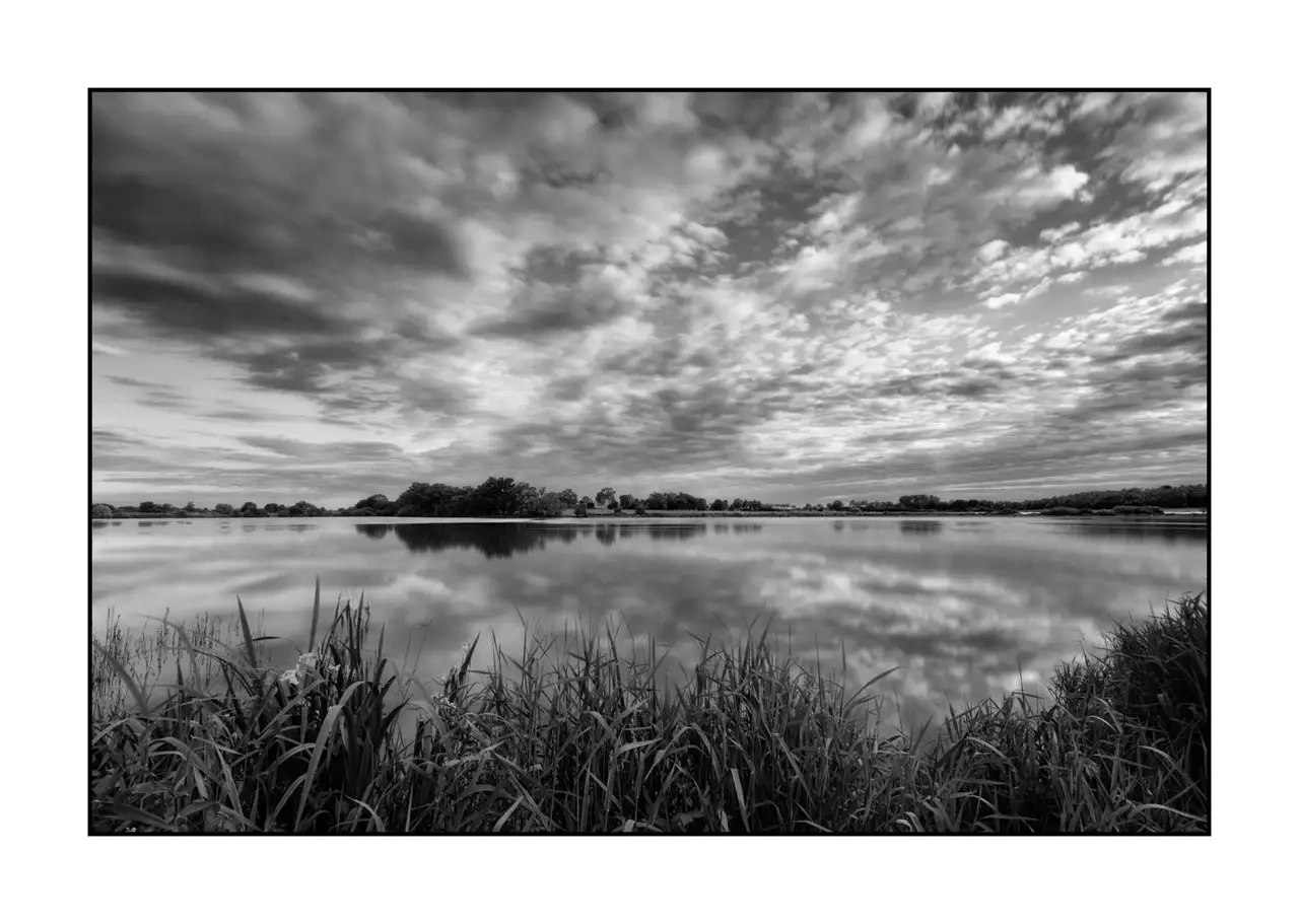 nuances-de-noirs-et-de-blancs/088-le-souffle-des-etangs-oublies-de-la-dombes/en/12-landscape-pond-dombes-2195-32B