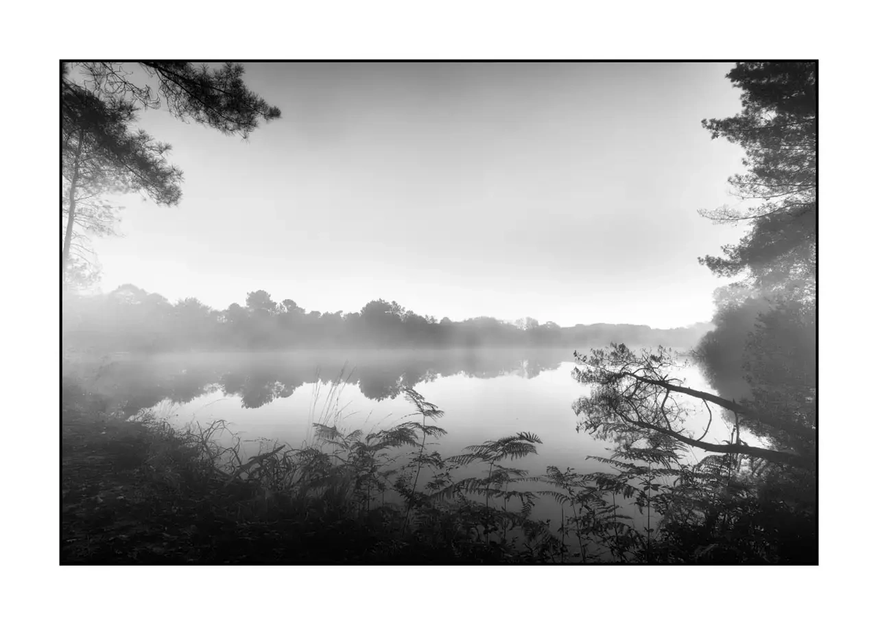 nuances-de-noirs-et-de-blancs/092-effleurer-l'aube/en/05-landscape-haute-saintonge-2294-32B