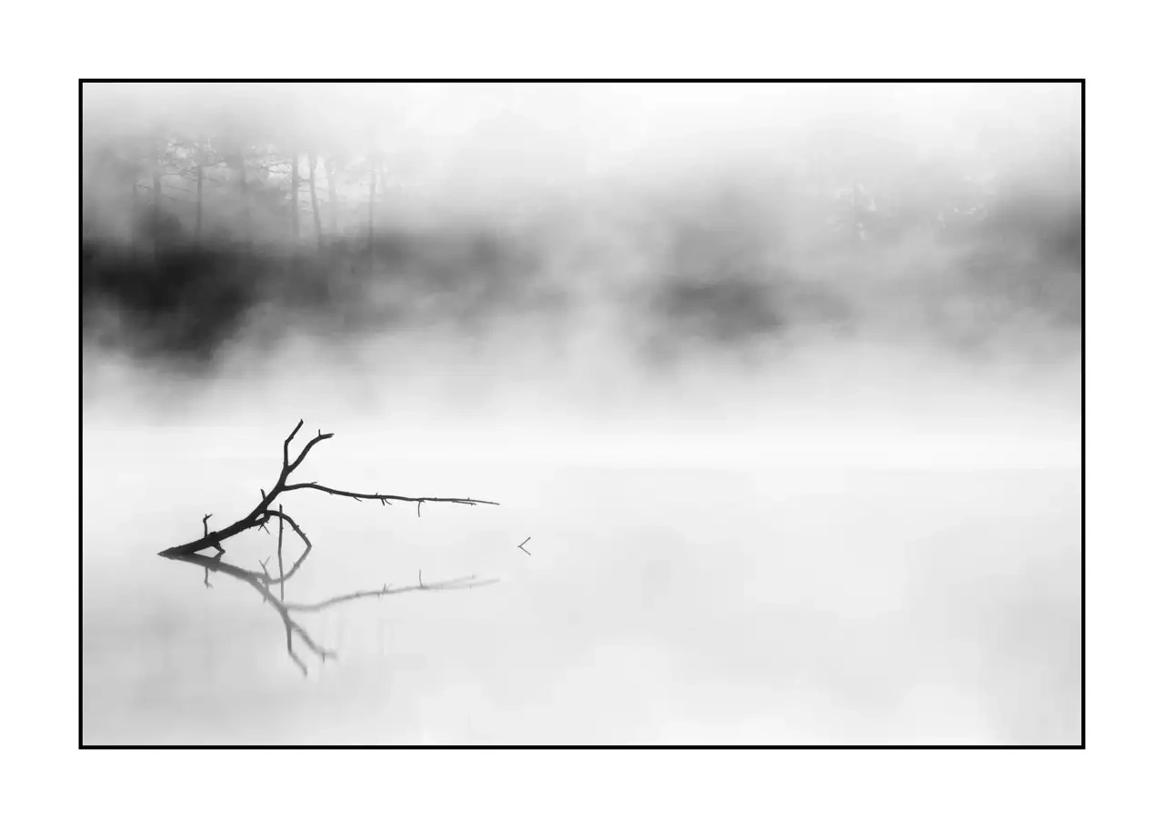 nuances-de-noirs-et-de-blancs/092-effleurer-l'aube/en/10-landscape-haute-saintonge-2299-32B