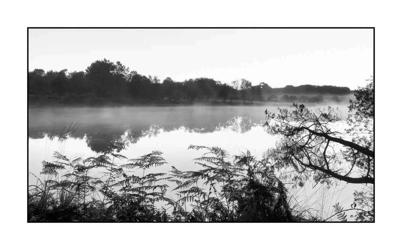 nuances-de-noirs-et-de-blancs/092-effleurer-l'aube/fr/02-paysage-haute-saintonge-2291-169B