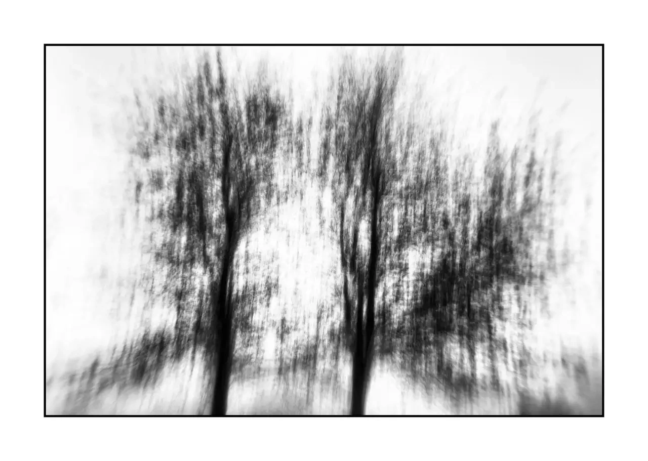 nuances-de-noirs-et-de-blancs/095-murmures-du-temps/en/02-tree-black-and-white-blurry-2320-32I