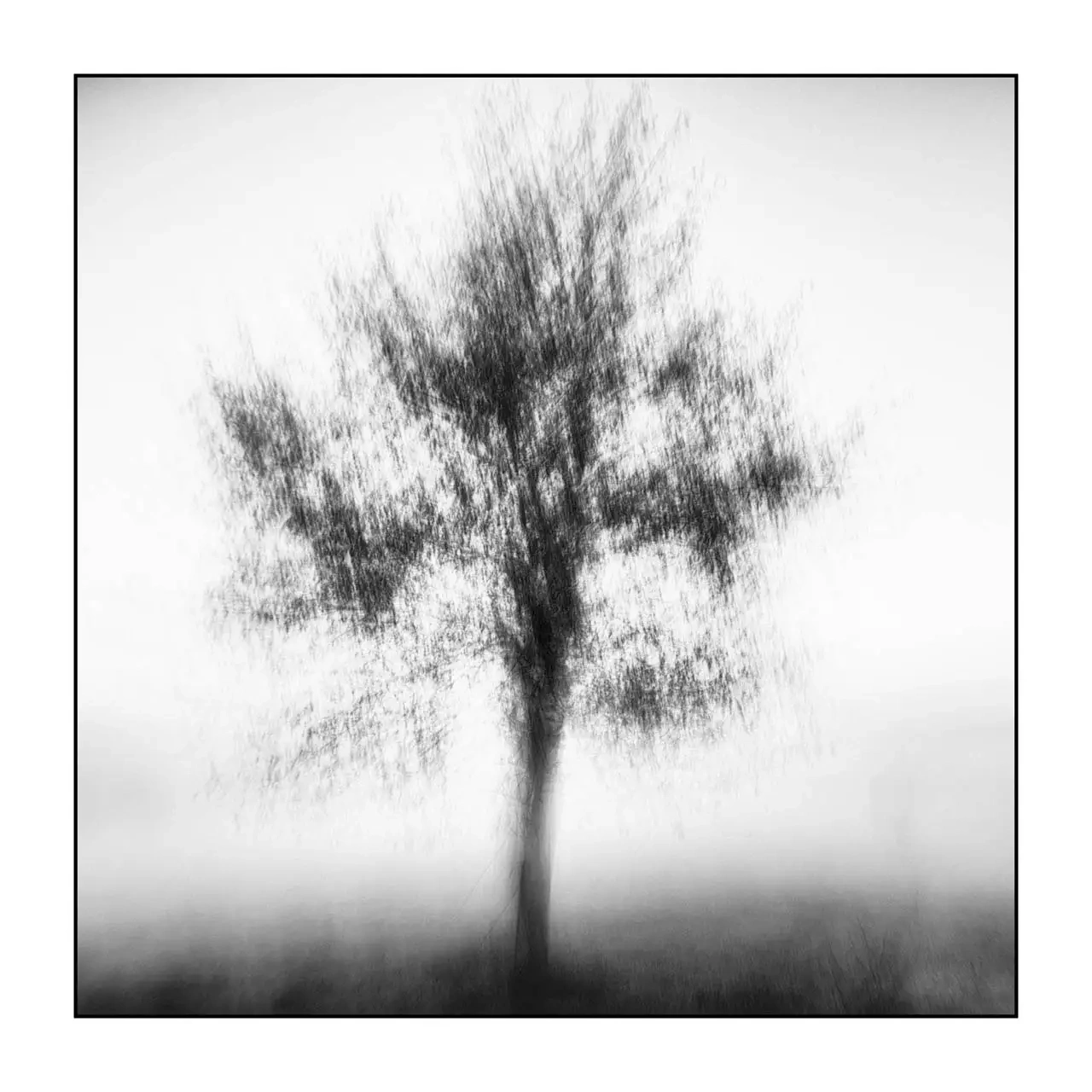 nuances-de-noirs-et-de-blancs/095-murmures-du-temps/fr/04-arbre-en-noir-et-blanc-flou-style-impression-2322-11I