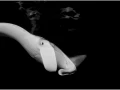 Raie manta de nuit aux Maldives en noir et blanc.
