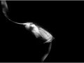 Raie manta de nuit aux Maldives en noir et blanc.